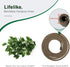 Coolrunner 8FT Reptile Vines and Flexible Leaves with Suction Cups Jungle Climber Habitat Decor for Lizards, Gecko