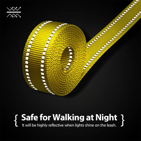 PHOEPET 5 Feet Dog Leash - Soft Padded Handle, Dual-Side Reflective, Fit for Hiking, Training, Camping (Yellow + Baby