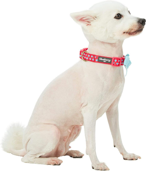 Blueberry Pet Dog Collar with Bowtie, Adjustable Neck 14.5-20", Lust Red Heart Design