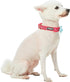 Blueberry Pet Dog Collar with Bowtie, Adjustable Neck 14.5-20", Lust Red Heart Design