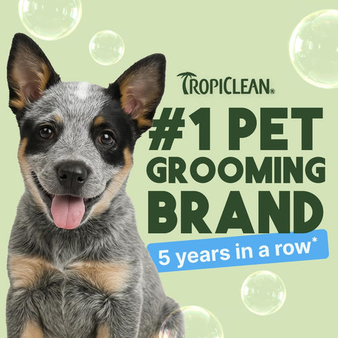 20oz TropiClean Gentle Puppy Shampoo, Dog Shampoo for Allergies & Sensitive Skin, Made in USA, Gentle Coconut Scent