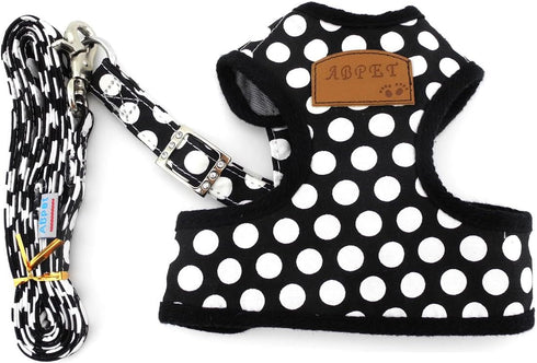 SMALLLEE_LUCKY_STORE Soft Mesh Nylon Vest Pet Cat & Dog Harness Leash Set, Black, S (Chest: 9.5"-13.5")