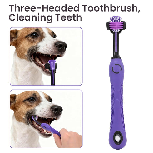 Racvofy 9-in-1For Pet Grooming Kit Dogs and Cats: Deshedding Brush, Nail Clippers & Massage Glove for Daily Grooming