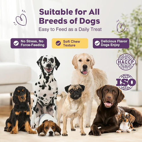 200pcs Immunity Probiotics for Dogs Dog Probiotics for Digestive Health Digestive Enzymes and Prebiotic, Probiotic