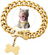 Heavy Duty Gold Chain Stainless Steel Cuban Link Dog Collar for Small Medium Large Dogs, American Bully (24")