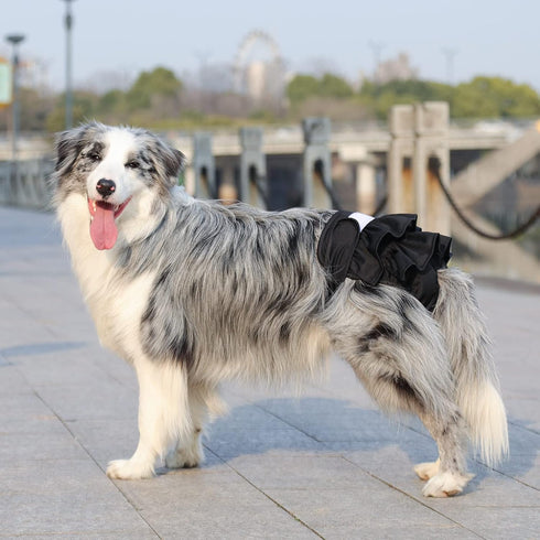 3 Pack, Reusable Dog Diapers, Washable, Highly Absorbent, Flexible, Leak-Proof, for Dog Period, Heat Incontinence