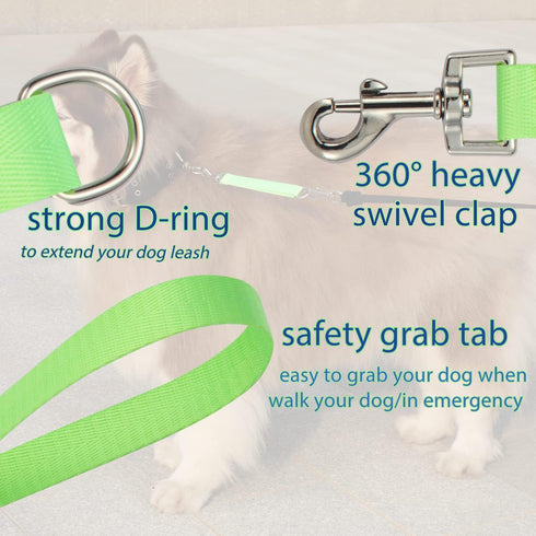Traffic Dog Leash - Dog Training Leash with Grab Handle, Pet Dog Traffic Grab Tab (Green & Blue)