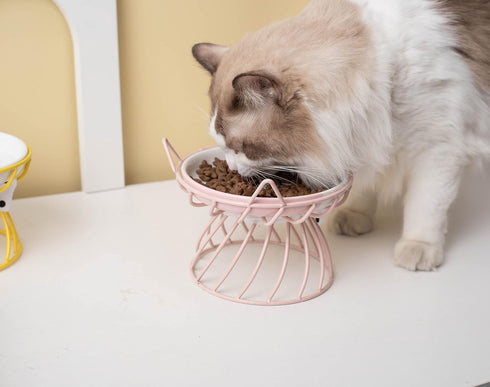 Raised Pet Food and Water Bowl, Tilted Ceramic Cat Water Bowl, No Spill, 15oz, Dishwasher Safe