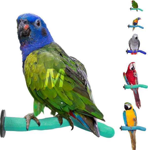 Sweet Feet & Beak Safety Pumice Bird Perch, Medium 1-1/4" X 12", Purple