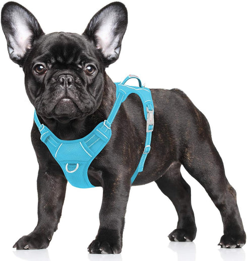 BARKBAY No Pull Dog Harness Large, Reflective with Front Clip and Easy Control Handle (Blue, S)