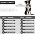 Dog Chain Collar Necklace 18K White Gold Plated Stainless Steel with Bling CZ Design Secure Buckle (30MM, Silver, 20")