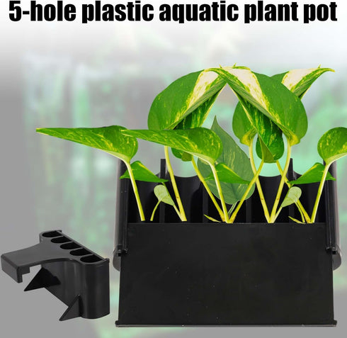 2pcs Aquarium Plant Holder, 5 Holes Top Rimmed Floating Planter Box for Fish Tank Decorations