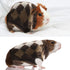 4 Pieces Guinea Pig Clothes Costume, Sweater Bunny Hamster Clothing, Small Animal Warm Vest Winter Pet Apparel