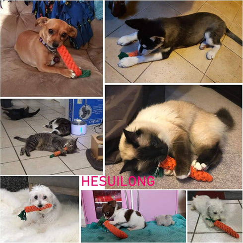Dog Toys 3 PCS Puppy Teething Chew Toys, Dog Rope Toys, Cat Chew Toys, Safe Braided Rabbit Toys