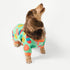 Fitwarm Easter Egg Dog Pajamas, Holiday Clothes for Small Dogs, Lightweight Velvet Pet Outfit (Light Green, Orange,