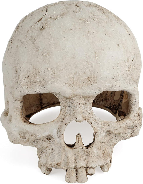 Uniclife Aquarium Skull Reptile House Decor, Resin Head Skeleton Ornament for Tank Landscape