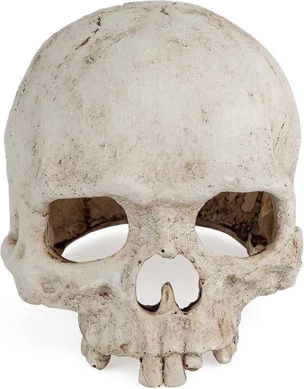 Uniclife Aquarium Skull Reptile House Decor, Resin Head Skeleton Ornament for Tank Landscape