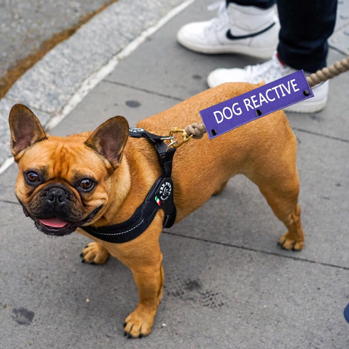 Dog Reactive Leash Sleeve - Nervous Dog Leash Wrap with Reactive Dog Patch