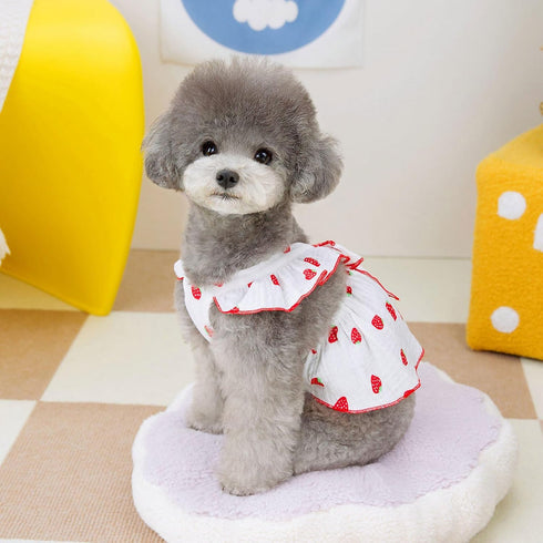 Dog Dresses for Small Dogs Girl | Cute Cotton Strawberry Printed Birthday Outfit for Small Puppies, White XS