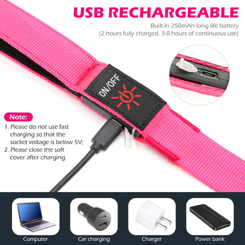 LED Dog Leash, Light Up 4 Feet Micro USB Rechargeable Nylon Webbing Glow Safety Standard Leash, Pink