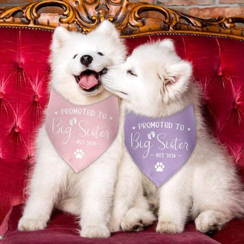 Luptiteuy 2 Pack 2026 Promoted to Big Sister Dog Bandana Pregnancy Announcement Gender Reveal Dog Outfit Baby