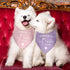 Luptiteuy 2 Pack 2026 Promoted to Big Sister Dog Bandana Pregnancy Announcement Gender Reveal Dog Outfit Baby