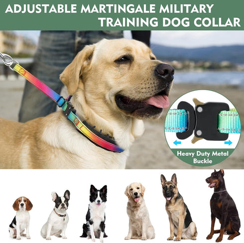 Martingale Collar for Dog, No Pull Walking Training Collar, Adjustable Tactical with Heavy Duty Metal Buckle