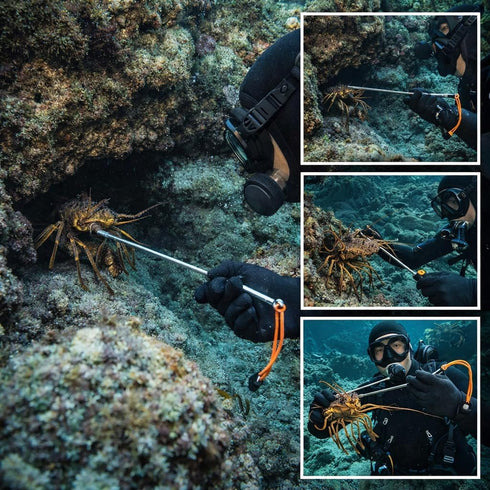 Diving Pointer, Stainless Steel Lobster Tickle Pointer Underwater Shaker Noise Maker Diving Diving Stick Rod