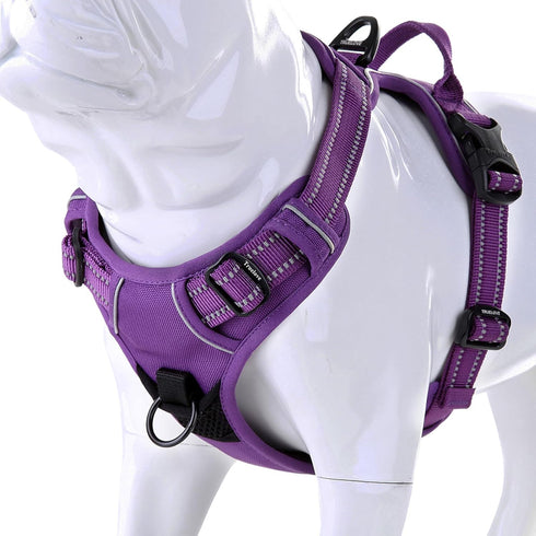 Truelove Reflective No Pull Dog Harness, Soft Front with Handle and 2 Leash Attachments