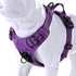 Truelove Reflective No Pull Dog Harness, Soft Front with Handle and 2 Leash Attachments
