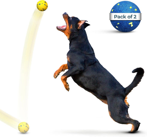 MISHMASH Vision Dog Ball - Premium Bite-Proof ETPU, Waterproof Bouncy Interactive Dog Toy, Durable Tennis Ball for