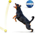 MISHMASH Vision Dog Ball - Premium Bite-Proof ETPU, Waterproof Bouncy Interactive Dog Toy, Durable Tennis Ball for