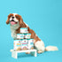 6oz (Pack 8) Weruva Awesome Shiny Wet Dog Food, Beef & Brown Rice, Can