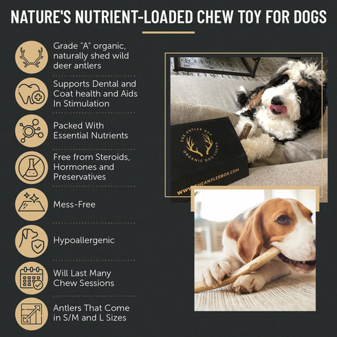 The Antler Box Premium Deer Antler Dog Chews (1 lb Bulk Pack) - X-Large (2 Antlers)