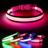 BSEEN Light Up Dog Collars - Adjustable Reflective LED Dog Collar, Rechargeable Camping Gear for Small Medium Large