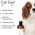 Eye Envy Tear Stain Remover Solution for Dogs, 8 oz, 100% Natural, Safe, Recommended by AKC Breeders