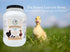 5LB Fresh Eggs Daily Brewer's Yeast with Garlic Powder and Niacin for Ducks Ducklings Feed Supplement Vitamins