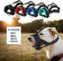 Head Strap Dog Muzzle Prevents Taking Off by Paws for Small, Medium and Large Dogs (XL/Red)