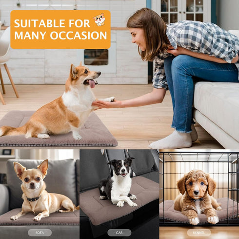 Reversible Dog Bed Mat with Plush and Corn Velvet, Soft Warm Pet Cushion, Washable Sleeping Mattress Bed (48"*30",