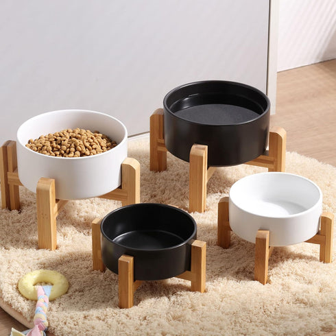 Petygooing White Raised Ceramic Dog Bowl for Small Breeds, Anti Slip Rubber Stand, 13.5 OZ Pet Feeding Dish