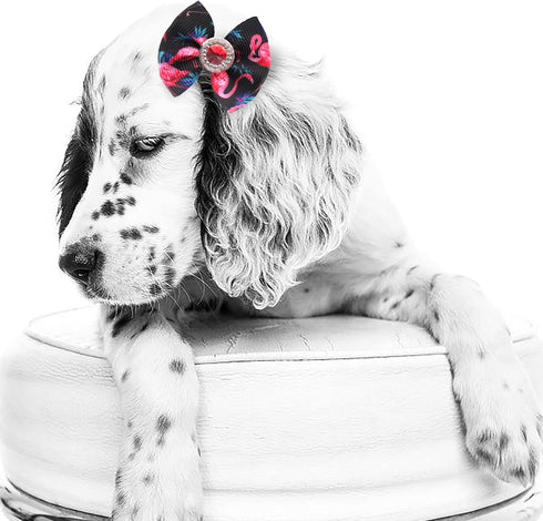 40PCS Christmas Dog Bows - Cute Puppy Small Bowknot Hair Bows with Rubber Bands - Pet Grooming Accessories for Party