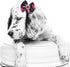 40PCS Christmas Dog Bows - Cute Puppy Small Bowknot Hair Bows with Rubber Bands - Pet Grooming Accessories for Party