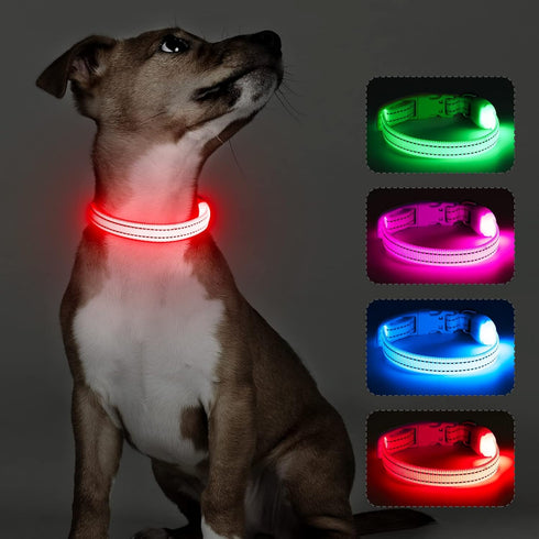 Light Up Dog Collars - Reflective LED Dog Collar, Rechargeable Cat Collar, Glowing Lights for Small Dogs & Cats