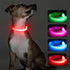Light Up Dog Collars - Reflective LED Dog Collar, Rechargeable Cat Collar, Glowing Lights for Small Dogs & Cats