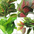 PINVNBY Reptile Terrarium Plants - Hanging Artificial Habitat Climbing Decorations with Suction Cup, 6PCS