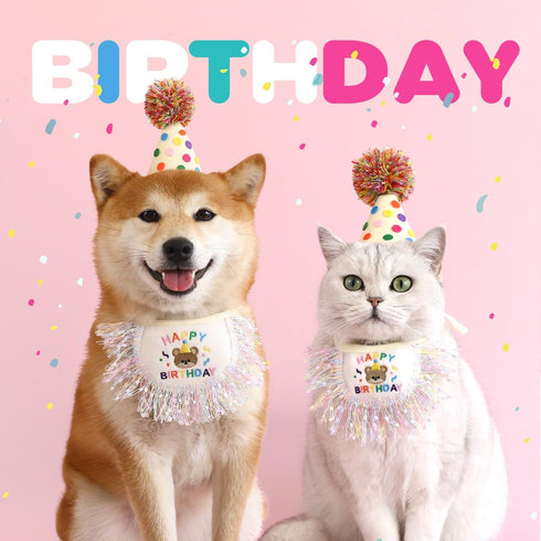 Cat Birthday Bandana Scarf and Party Hat Set, Cute Tassels Bib Scarf for Cat Birthday Party Decorations