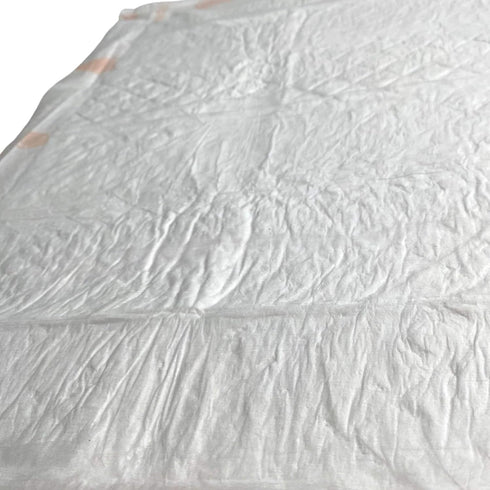 23.5" 22", 10 WizSmart Heavyweight Dog Pee Pads for Large Dogs, Puppies, Seniors Ultra Absorbent, Leak Proof, Odor