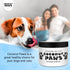 Coconut Paws Coconut Oil for Dogs Skin and Coat, Itching Relief, Hot Spot Treatment, 8oz - COCONUT ESSENTIALS