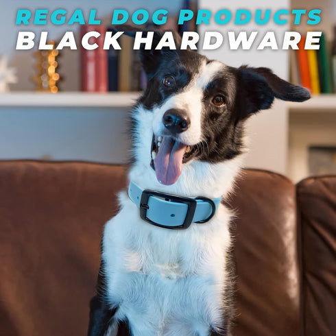 Regal Dog Products Medium Blue Waterproof Collar with Heavy Duty Black Hardware Buckle & D Ring | Adjustable Biothane