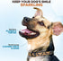 BRUTUS & BARNABY Bully Stick Bites - Grass Fed Low Odor Bites - All Natural and Grain Free (2lb)